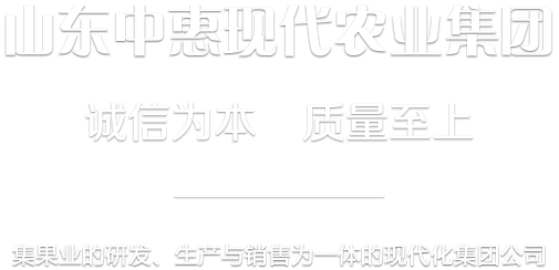 KY.COM-开元(中国)脱毒矮化苹果苗木种植